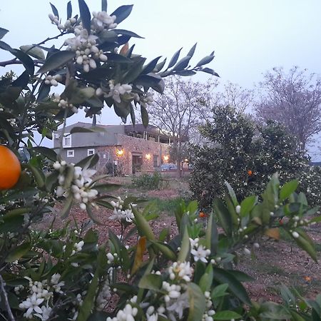 בדאחוז Hostal Entreolivos מראה חיצוני תמונה